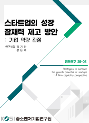 스타트업의 성장 잠재력 제고 방안 : 기업 역량 관점